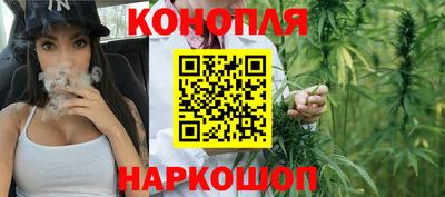 СК Краснодар